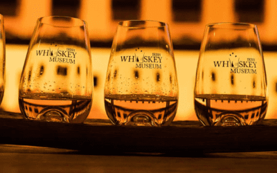 The Irish Whiskey Museum : One step in the Irish Whiskey History