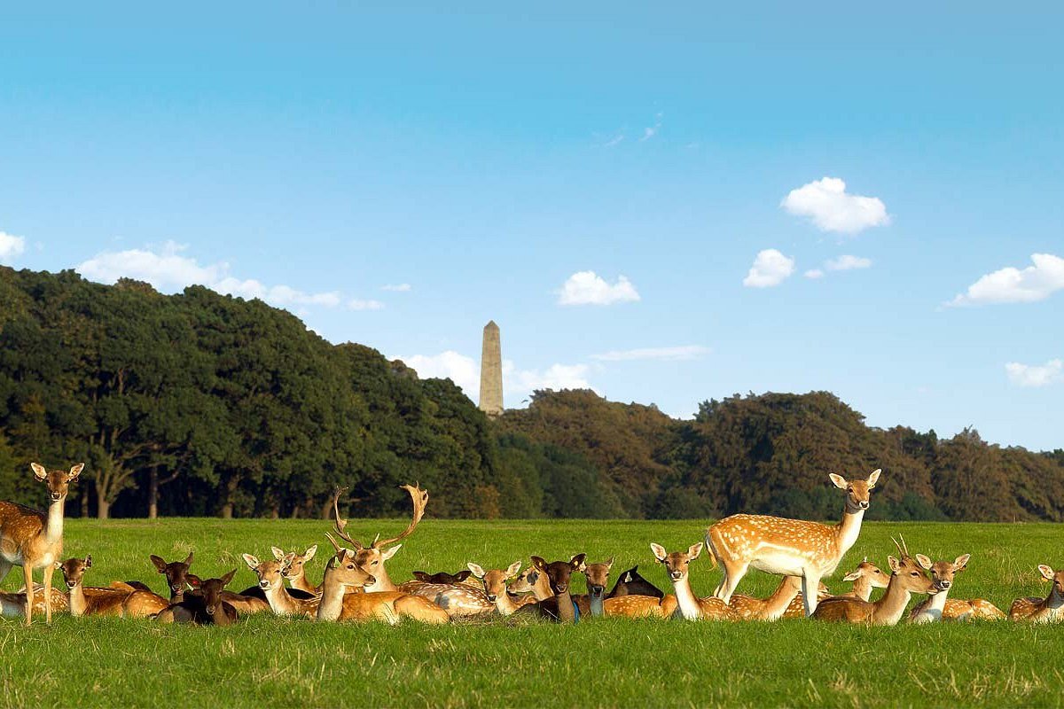 Phoenix Park