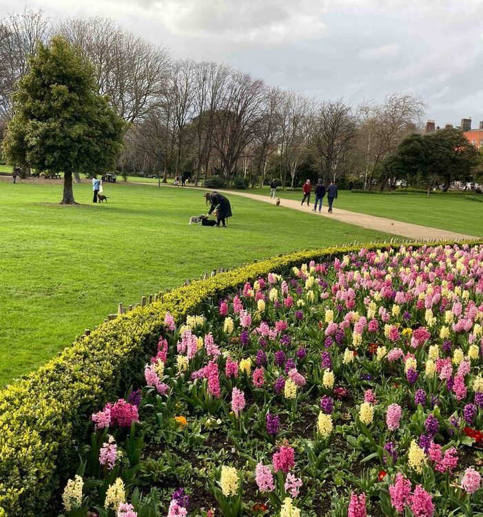 Merrion Square Park