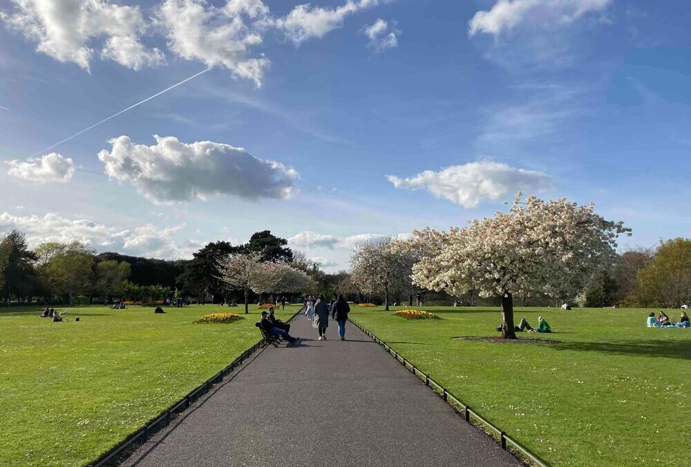 The most beautiful parks in Dublin to spend your time in spring and summer