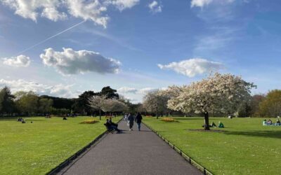 The most beautiful parks in Dublin to spend your time in spring and summer