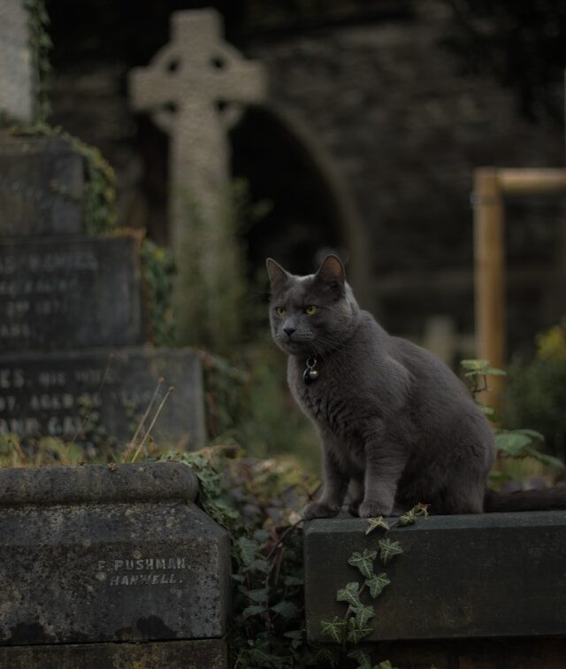 Graveyard Dublin 