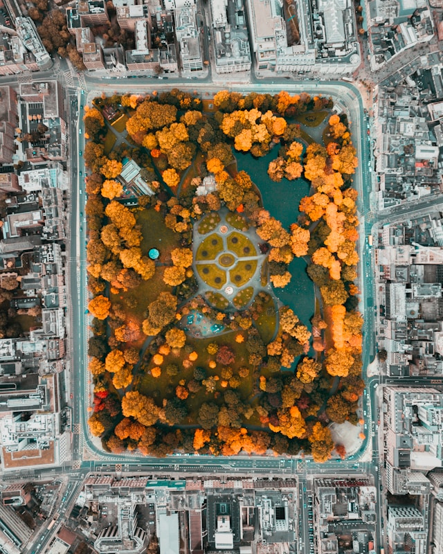 paul-costello-tbRL15YwZ5Q-unsplash