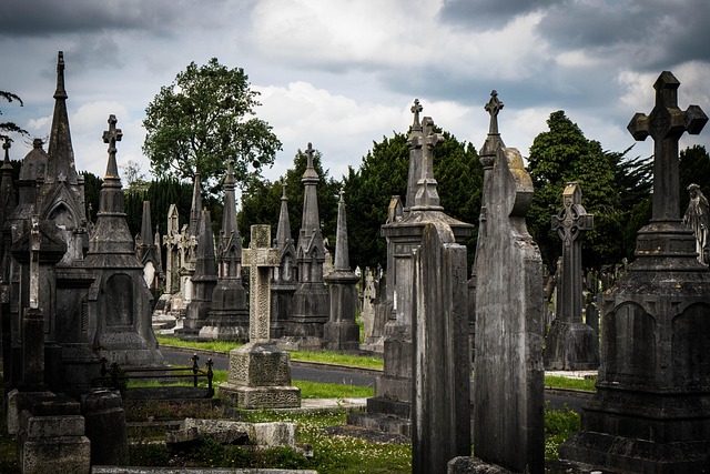 Glasnevin