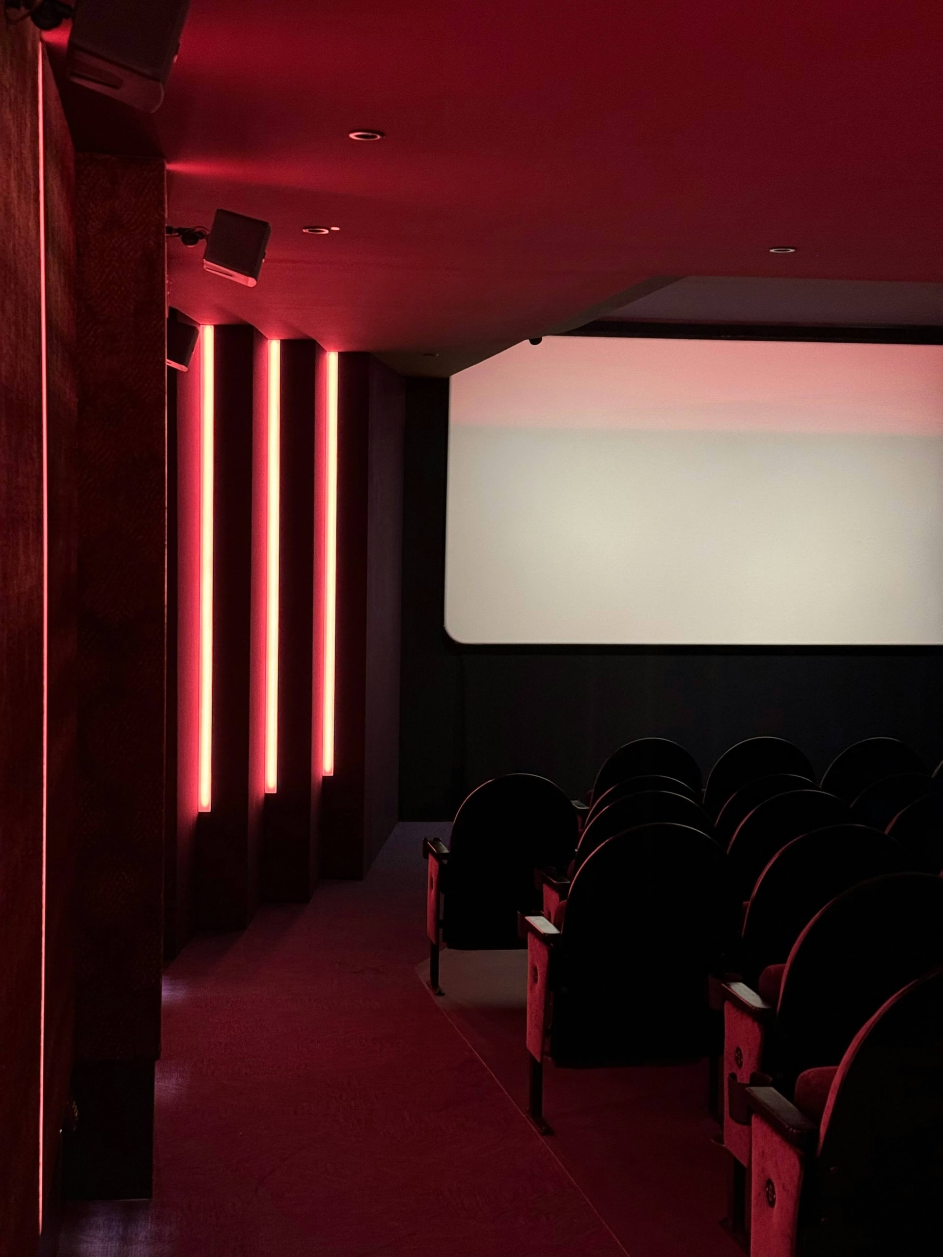 dublin-international-film-festival-2026