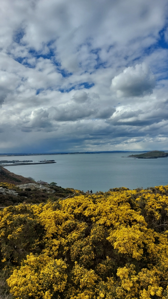 Howth Cliff, Trail, Co Dublin