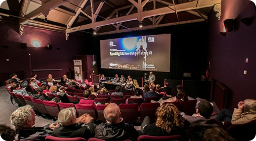 The Irish Film Institute